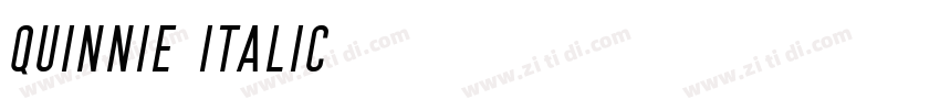 Quinnie Italic字体转换